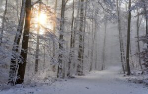December