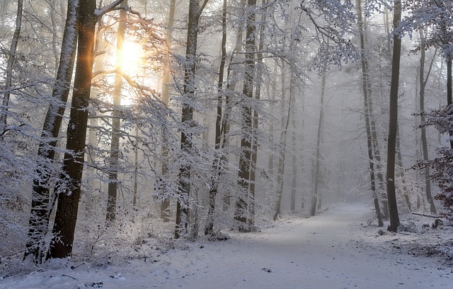 December