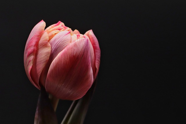 May