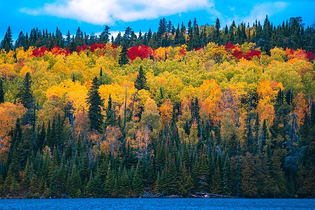 October