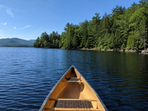 Invitation to Soften Your Mind June