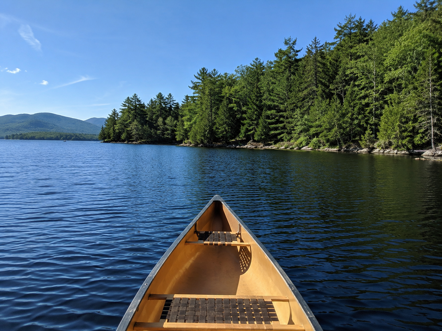 Invitation to Soften Your Mind June